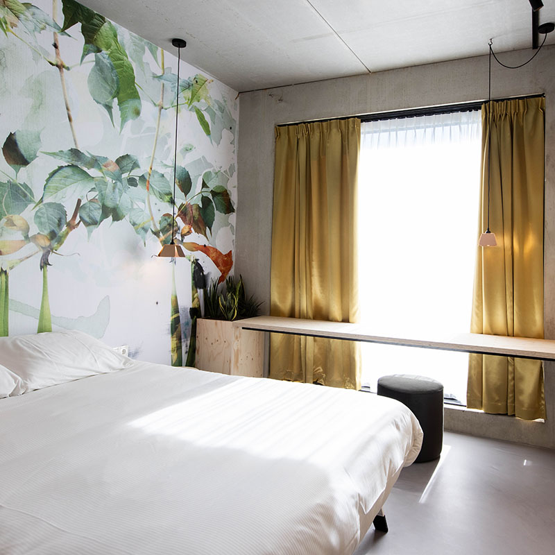 Double Queen Moloko_Natural-47