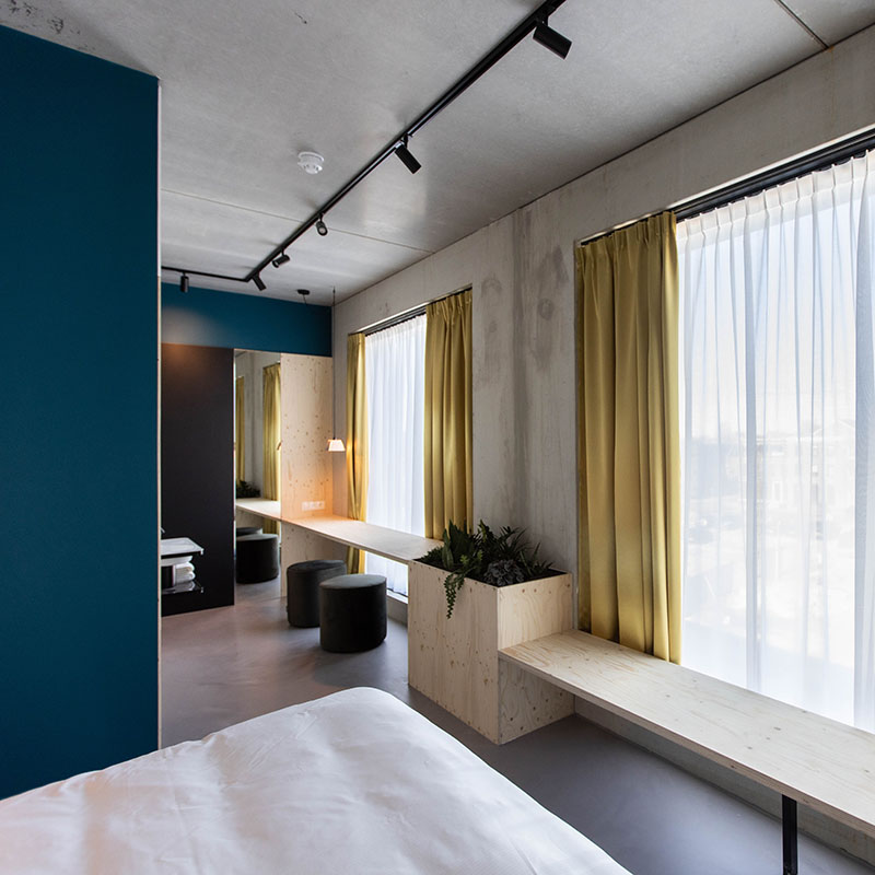 King Moloko_Natural-18