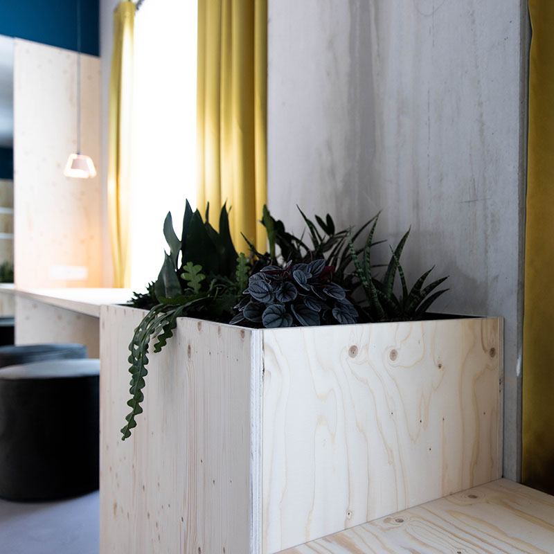 King Moloko_Natural-30