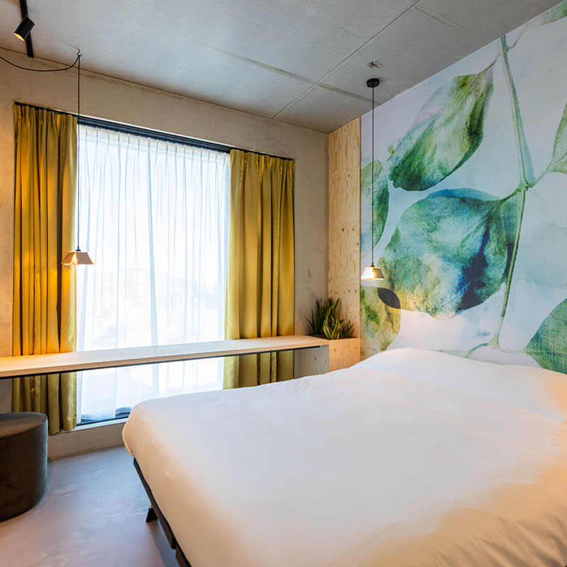 Moloko_Natural-12 800x800