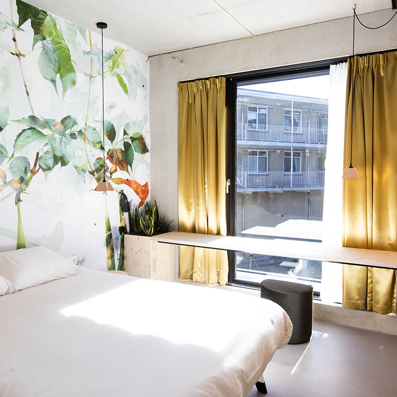 Moloko_Natural-48 800x800