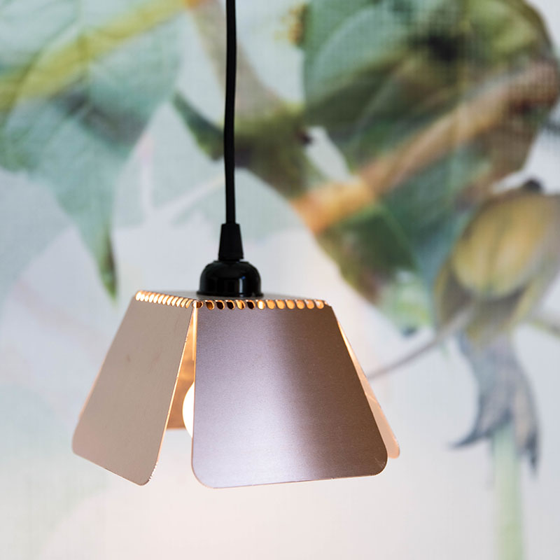 Moloko_Natural-50 800x800